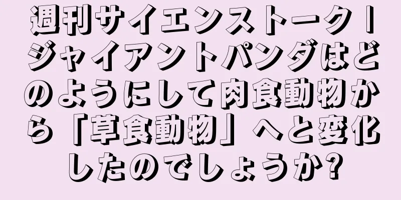 週刊サイエンストーク |ジャイアントパンダはどのようにして肉食動物から「草食動物」へと変化したのでしょうか?