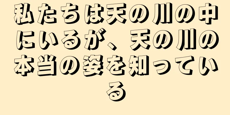 私たちは天の川の中にいるが、天の川の本当の姿を知っている