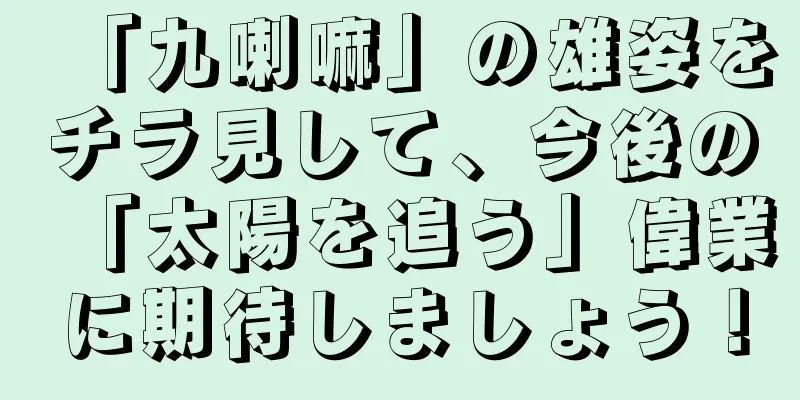 「九喇嘛」の雄姿をチラ見して、今後の「太陽を追う」偉業に期待しましょう！