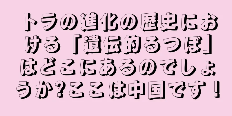 トラの進化の歴史における「遺伝的るつぼ」はどこにあるのでしょうか?ここは中国です！