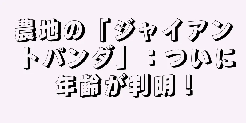 農地の「ジャイアントパンダ」：ついに年齢が判明！