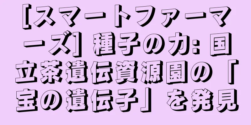 [スマートファーマーズ] 種子の力: 国立茶遺伝資源園の「宝の遺伝子」を発見