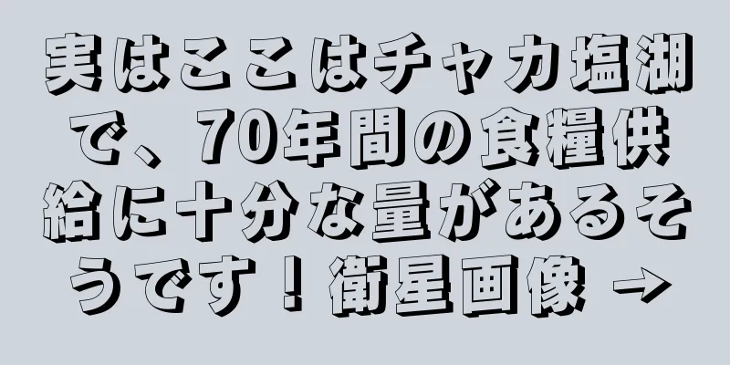 実はここはチャカ塩湖で、70年間の食糧供給に十分な量があるそうです！衛星画像 →