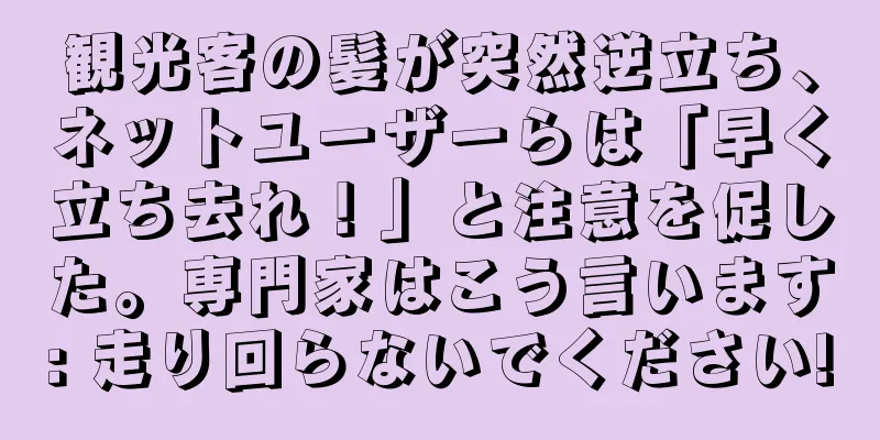 観光客の髪が突然逆立ち、ネットユーザーらは「早く立ち去れ！」と注意を促した。専門家はこう言います: 走り回らないでください!