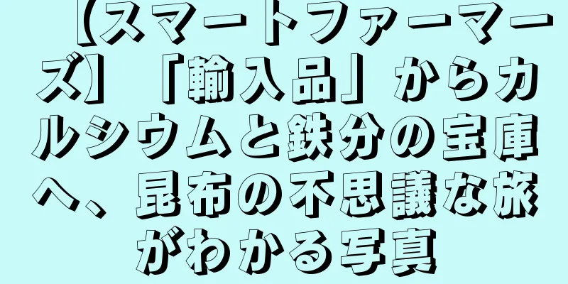 【スマートファーマーズ】「輸入品」からカルシウムと鉄分の宝庫へ、昆布の不思議な旅がわかる写真
