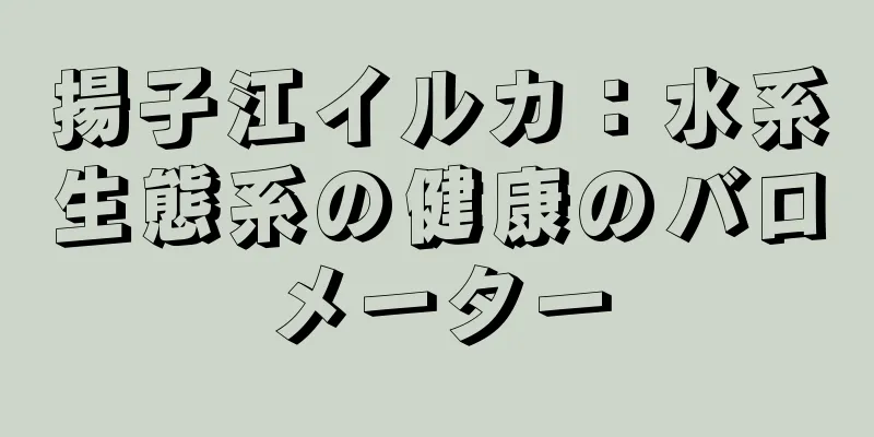 揚子江イルカ：水系生態系の健康のバロメーター