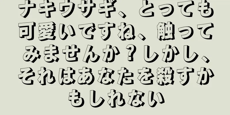ナキウサギ、とっても可愛いですね、触ってみませんか？しかし、それはあなたを殺すかもしれない