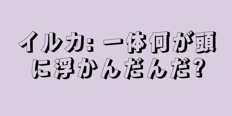 イルカ: 一体何が頭に浮かんだんだ?