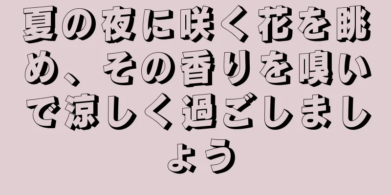 夏の夜に咲く花を眺め、その香りを嗅いで涼しく過ごしましょう