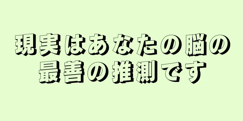 現実はあなたの脳の最善の推測です
