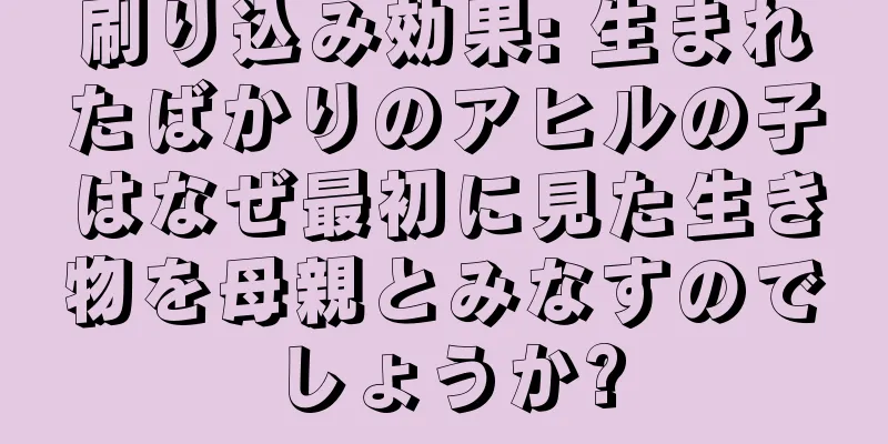 刷り込み効果: 生まれたばかりのアヒルの子はなぜ最初に見た生き物を母親とみなすのでしょうか?