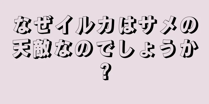 なぜイルカはサメの天敵なのでしょうか?