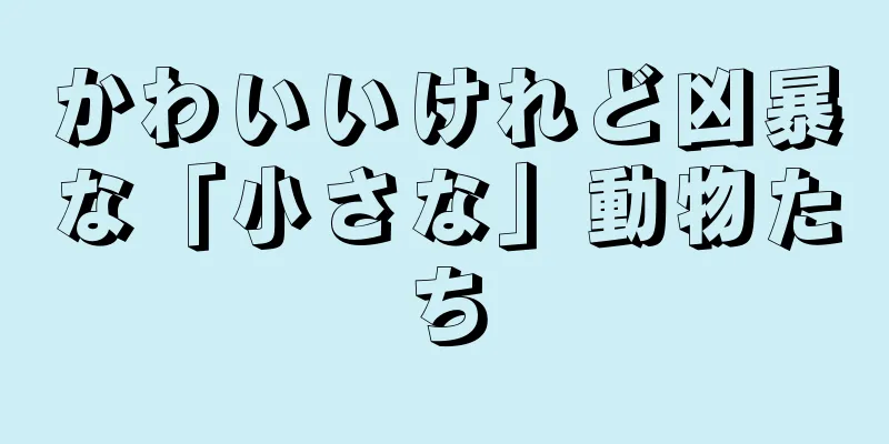 かわいいけれど凶暴な「小さな」動物たち