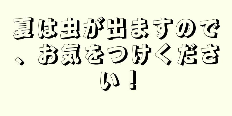 夏は虫が出ますので、お気をつけください！