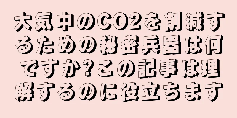 大気中のCO2を削減するための秘密兵器は何ですか?この記事は理解するのに役立ちます