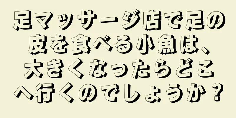 足マッサージ店で足の皮を食べる小魚は、大きくなったらどこへ行くのでしょうか？