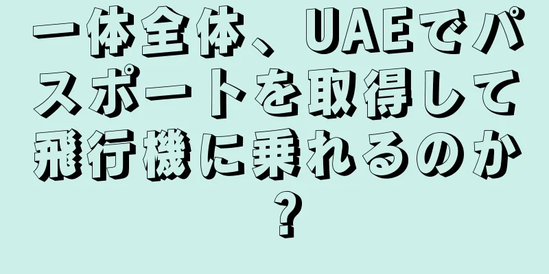 一体全体、UAEでパスポートを取得して飛行機に乗れるのか？