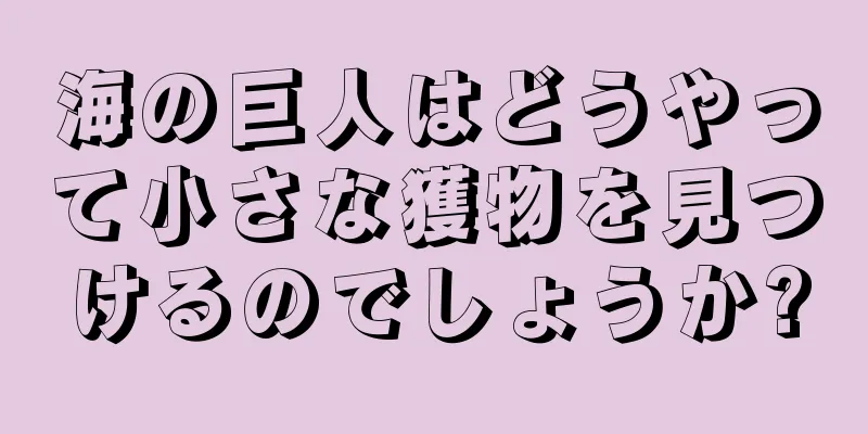 海の巨人はどうやって小さな獲物を見つけるのでしょうか?