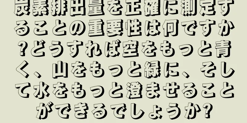 炭素排出量を正確に測定することの重要性は何ですか?どうすれば空をもっと青く、山をもっと緑に、そして水をもっと澄ませることができるでしょうか?
