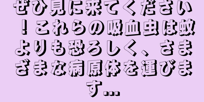 ぜひ見に来てください！これらの吸血虫は蚊よりも恐ろしく、さまざまな病原体を運びます...