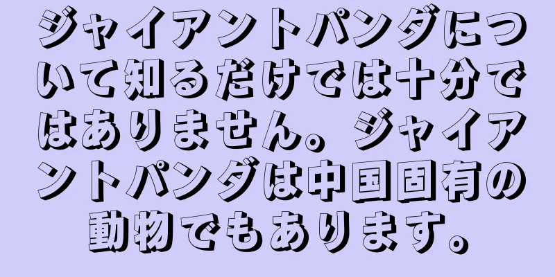 ジャイアントパンダについて知るだけでは十分ではありません。ジャイアントパンダは中国固有の動物でもあります。