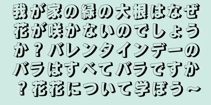 我が家の緑の大根はなぜ花が咲かないのでしょうか？バレンタインデーのバラはすべてバラですか？花花について学ぼう〜