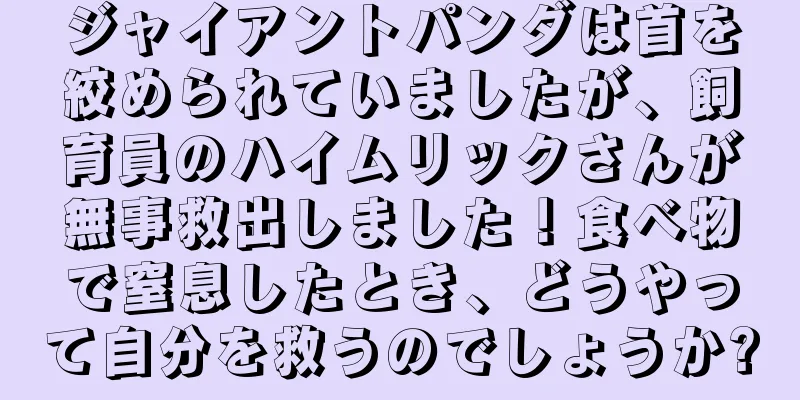 ジャイアントパンダは首を絞められていましたが、飼育員のハイムリックさんが無事救出しました！食べ物で窒息したとき、どうやって自分を救うのでしょうか?