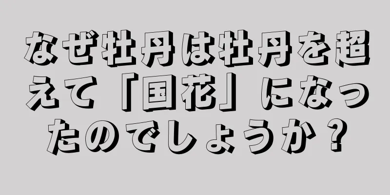 なぜ牡丹は牡丹を超えて「国花」になったのでしょうか？