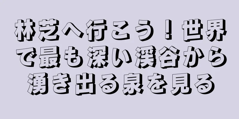 林芝へ行こう！世界で最も深い渓谷から湧き出る泉を見る