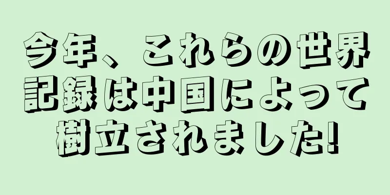 今年、これらの世界記録は中国によって樹立されました!