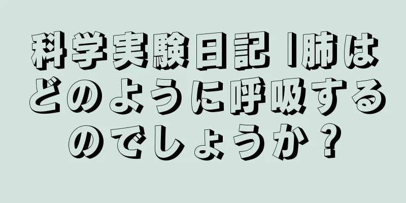 科学実験日記 |肺はどのように呼吸するのでしょうか？