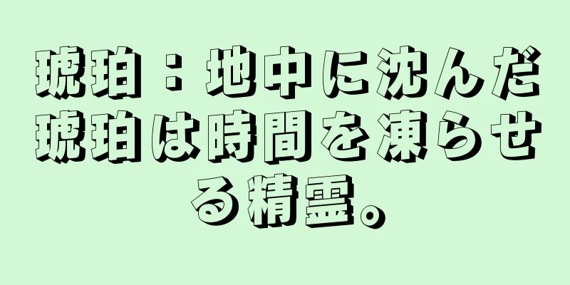 琥珀：地中に沈んだ琥珀は時間を凍らせる精霊。