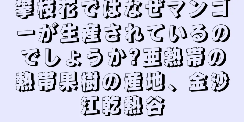 攀枝花ではなぜマンゴーが生産されているのでしょうか?亜熱帯の熱帯果樹の産地、金沙江乾熱谷
