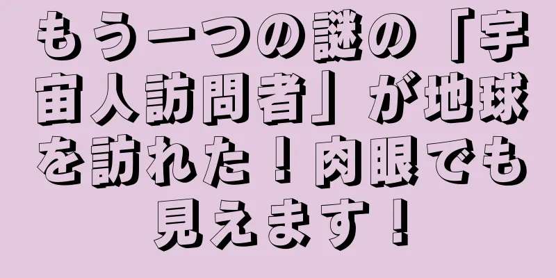 もう一つの謎の「宇宙人訪問者」が地球を訪れた！肉眼でも見えます！