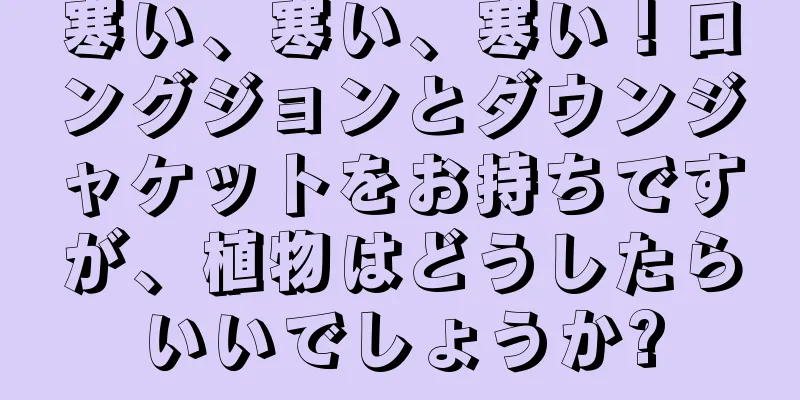 寒い、寒い、寒い！ロングジョンとダウンジャケットをお持ちですが、植物はどうしたらいいでしょうか?