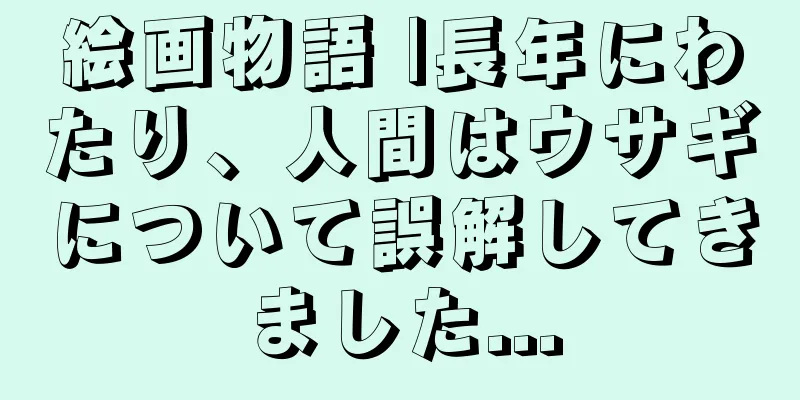 絵画物語 |長年にわたり、人間はウサギについて誤解してきました...