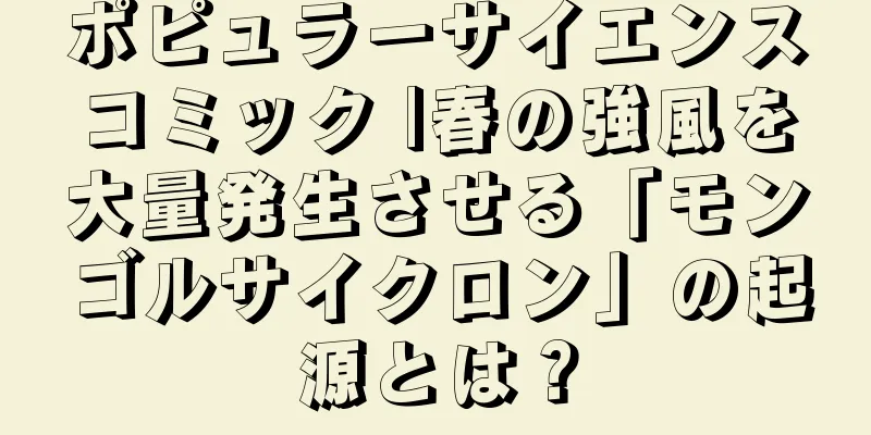 ポピュラーサイエンスコミック |春の強風を大量発生させる「モンゴルサイクロン」の起源とは？