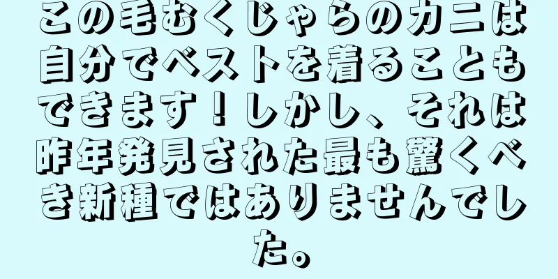この毛むくじゃらのカニは自分でベストを着ることもできます！しかし、それは昨年発見された最も驚くべき新種ではありませんでした。