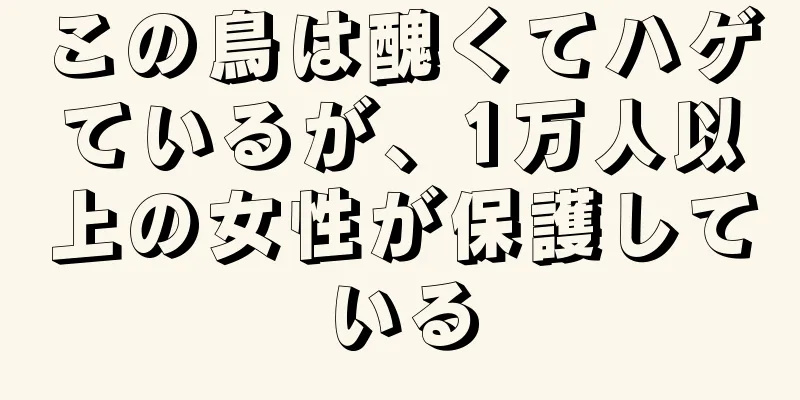 この鳥は醜くてハゲているが、1万人以上の女性が保護している