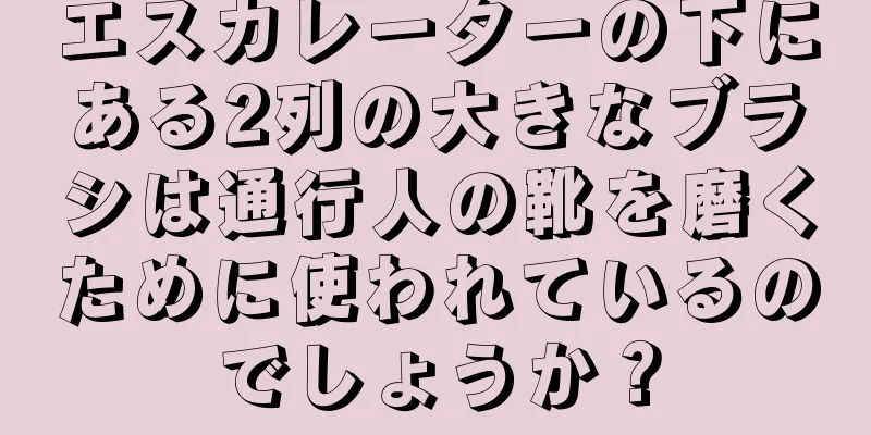 エスカレーターの下にある2列の大きなブラシは通行人の靴を磨くために使われているのでしょうか？