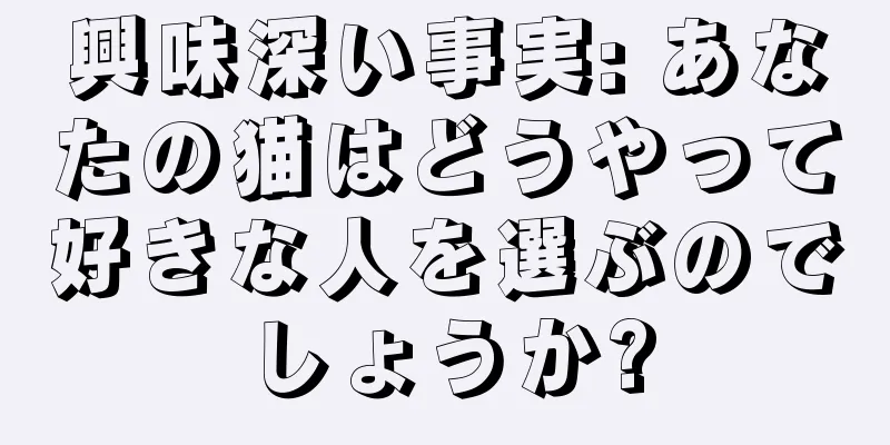 興味深い事実: あなたの猫はどうやって好きな人を選ぶのでしょうか?