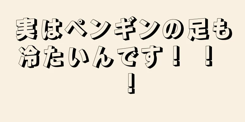 実はペンギンの足も冷たいんです！ ！ ！