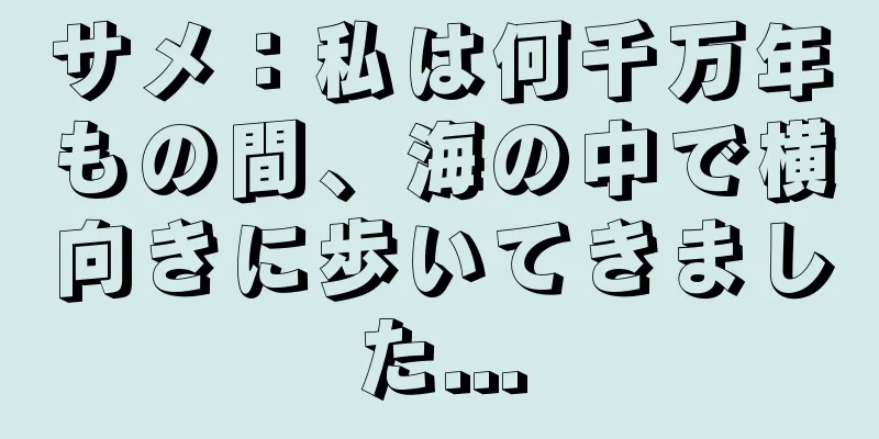 サメ：私は何千万年もの間、海の中で横向きに歩いてきました...