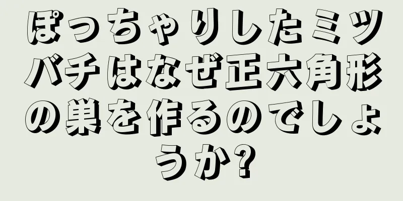 ぽっちゃりしたミツバチはなぜ正六角形の巣を作るのでしょうか?