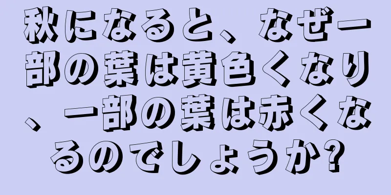 秋になると、なぜ一部の葉は黄色くなり、一部の葉は赤くなるのでしょうか?