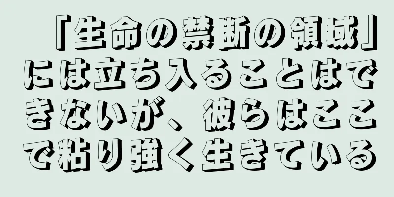 「生命の禁断の領域」には立ち入ることはできないが、彼らはここで粘り強く生きている
