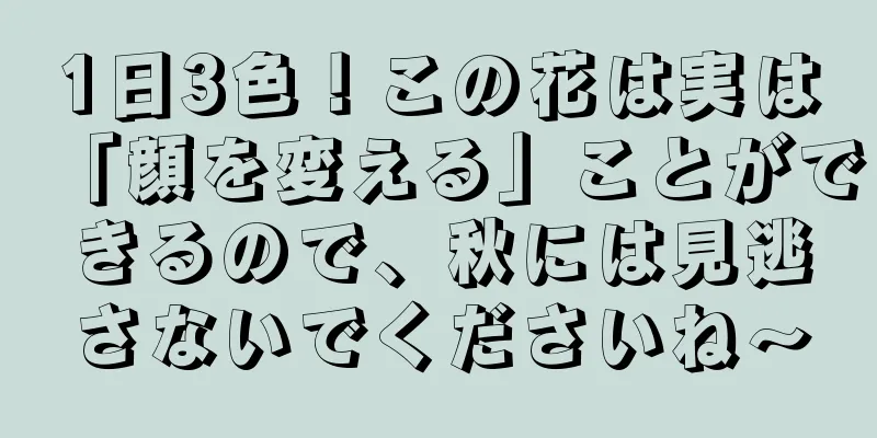1日3色！この花は実は「顔を変える」ことができるので、秋には見逃さないでくださいね〜