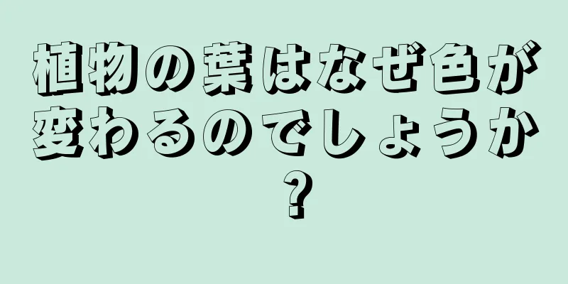植物の葉はなぜ色が変わるのでしょうか？