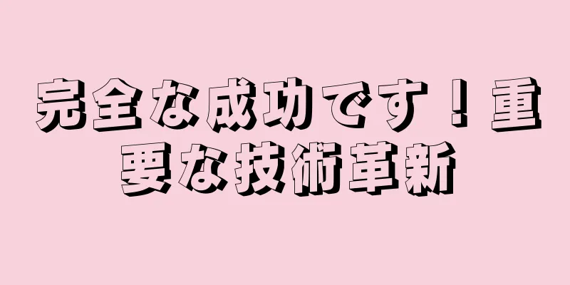 完全な成功です！重要な技術革新