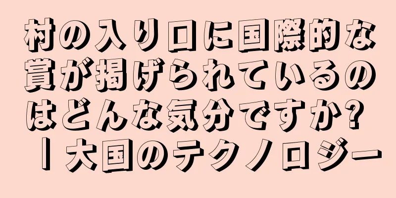 村の入り口に国際的な賞が掲げられているのはどんな気分ですか? ｜大国のテクノロジー